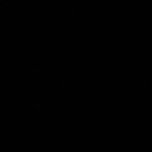 Meet your Posher, Isabel